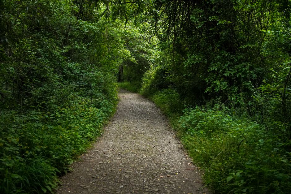 A Balanced Approach To Wellness When You're Short on Time