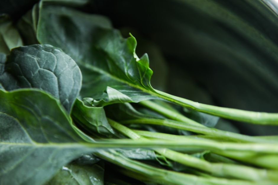 A Step-by-Step Look at Everyday Wellness Tips — Part 2