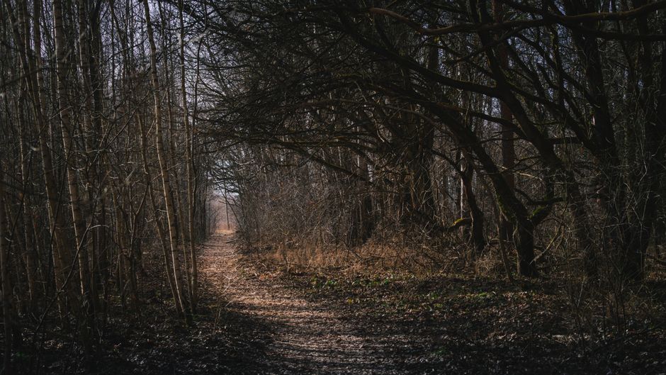 A Step-by-Step Look at Understanding Health And Wellness