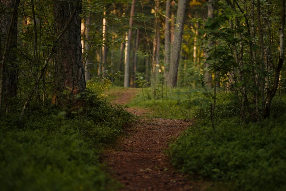 Building a Daily Routine Around The Connection Between Body And Mind