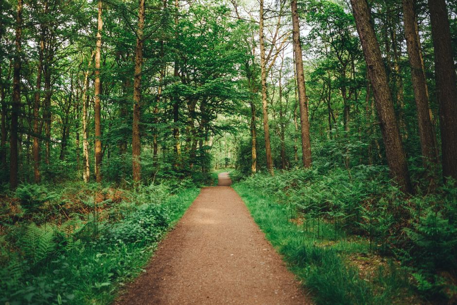Care, Compassion And The People Around Us as a Daily Habit