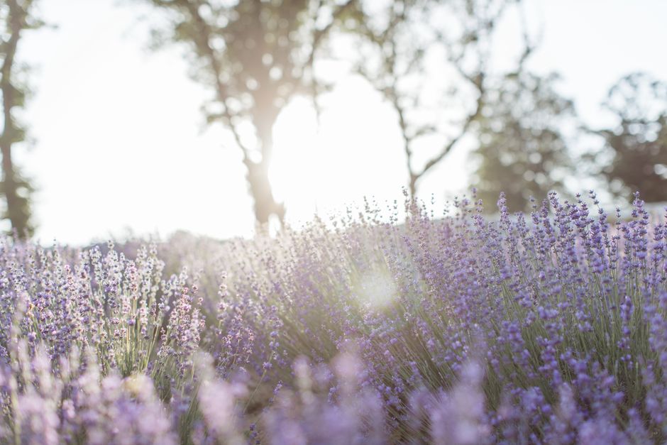 Creating Healthy Long-Term Habits When You're Short on Time