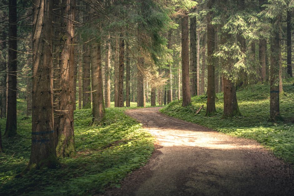 Getting Started With Caring For Your Overall Health