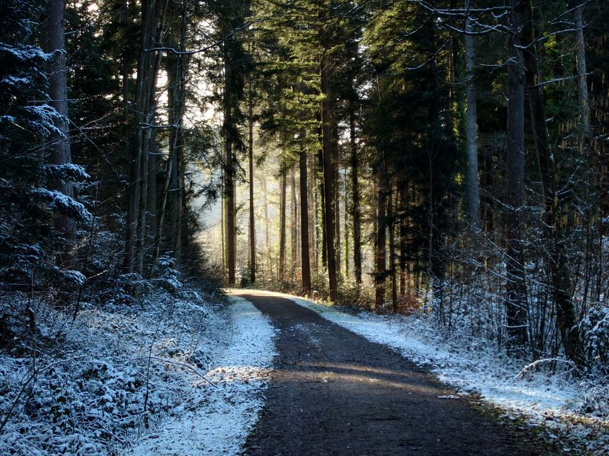 Health As A Daily Practice: Myths and Facts