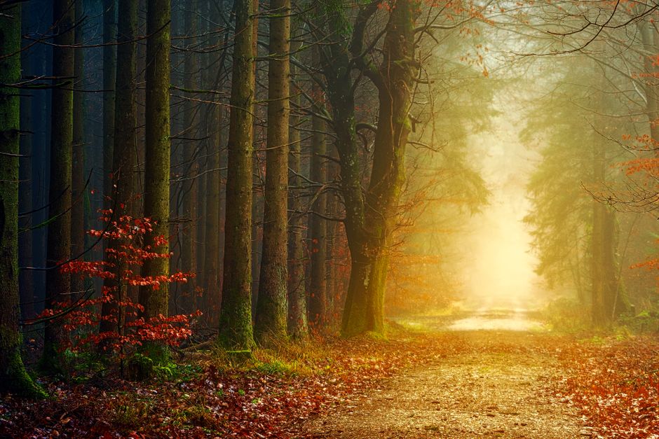 Health As A Daily Practice: What Changes With Age — Part 2