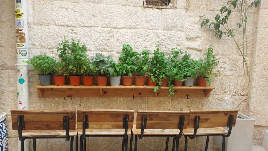 Hydration, Breath And The Overlooked Basics: Making It Part of Your Day
