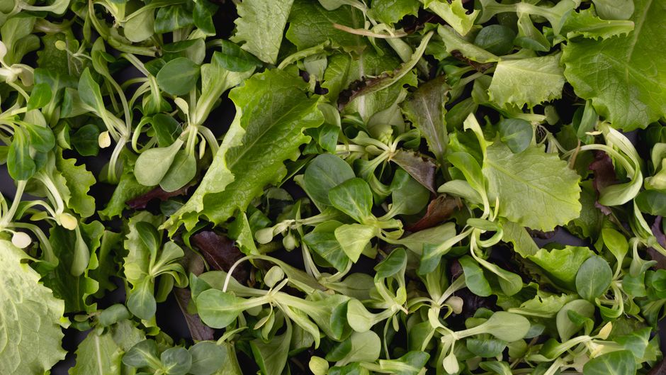 Iron, B12 And The Nutrients Worth Testing Without the Guesswork, Minus the Overwhelm