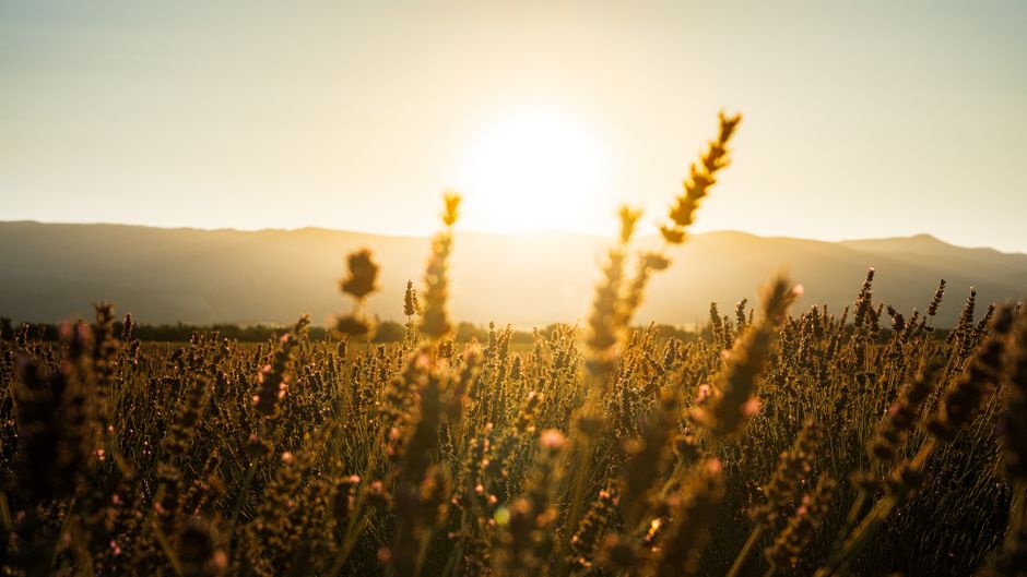 Making Sense of Why The First Hour After Waking Matters