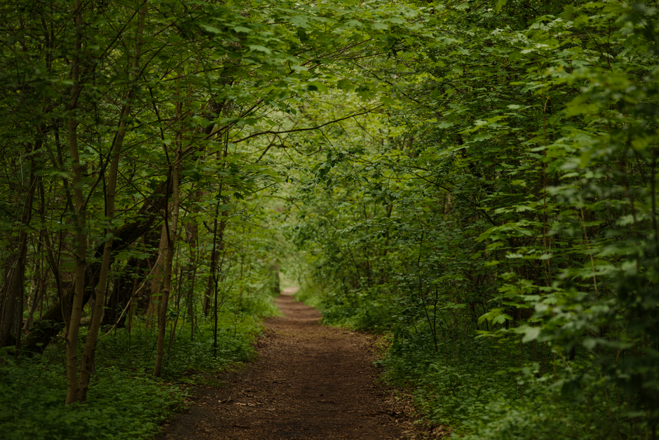 Mental Health Is Health: Practical Steps You Can Use