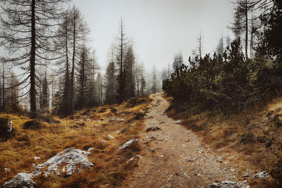 Mental Health Is Health: What Actually Works