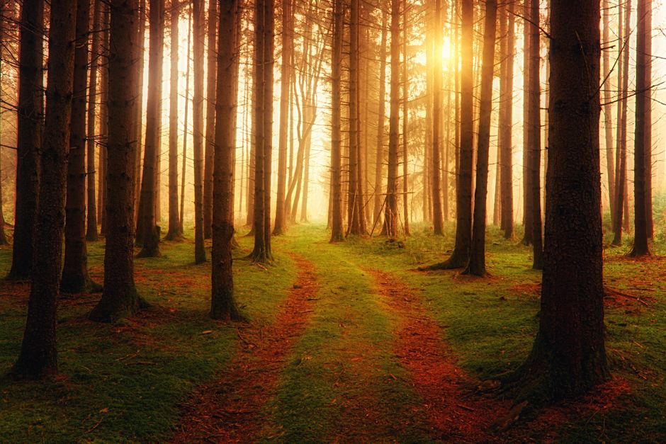 Motivation, Discipline And Self-Compassion for Busy People