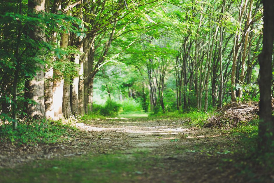 Simplicity As A Health Strategy: Where to Start