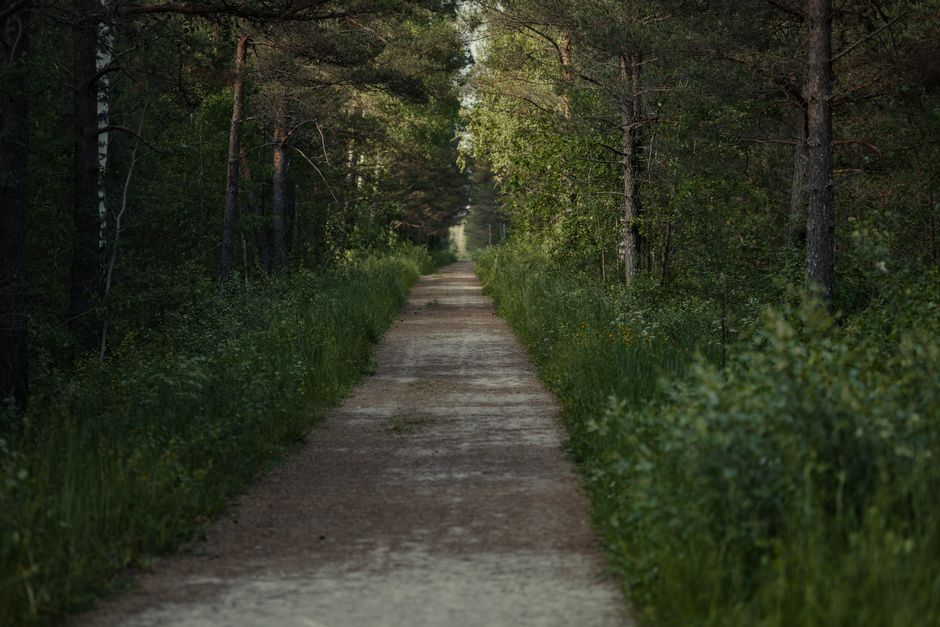 Stress: Signal, Response And Recovery as a Daily Habit