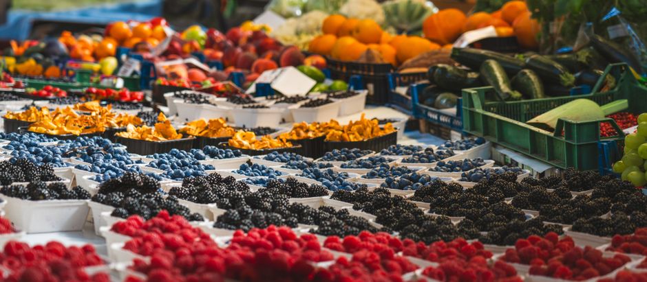Sustainable Weight Change Versus Crash Diets as a Daily Habit, Starting Today