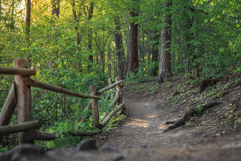 The Habit Of Moving Through The Day as a Daily Habit