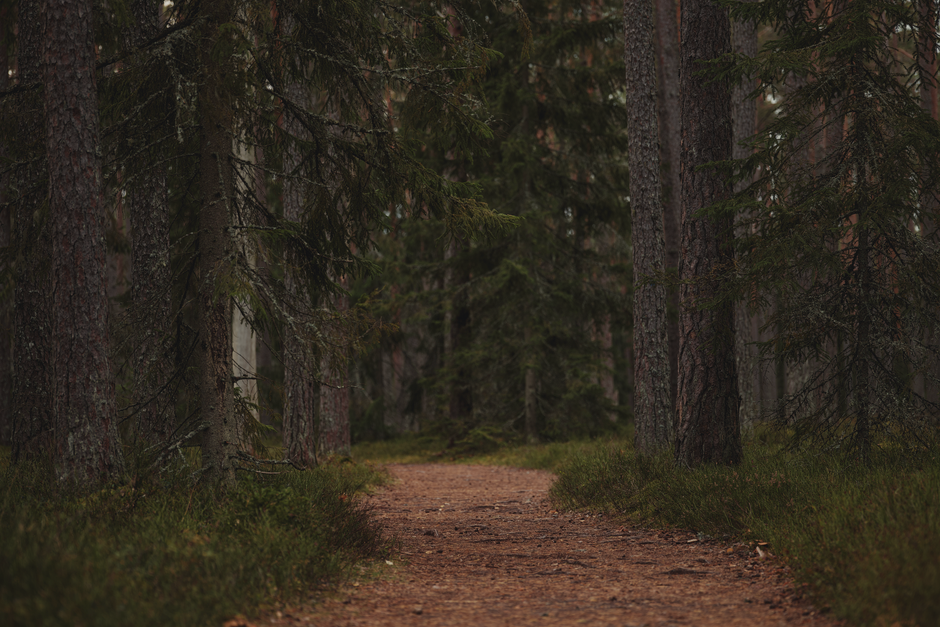 The Importance Of Personal Well-Being: Sorting Fact From Fiction