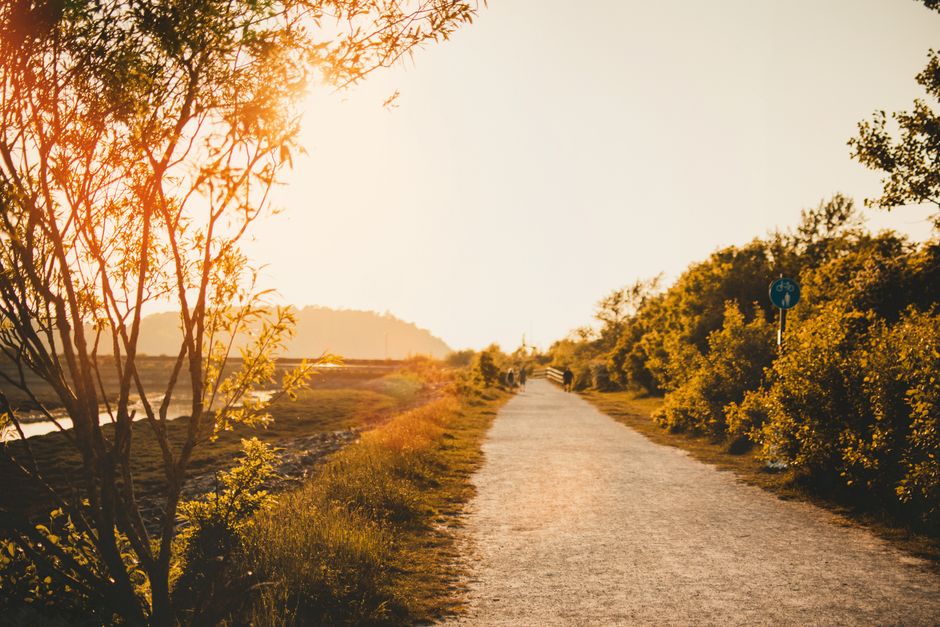 The Ordinary Virtues Of Walking: A Simple Checklist
