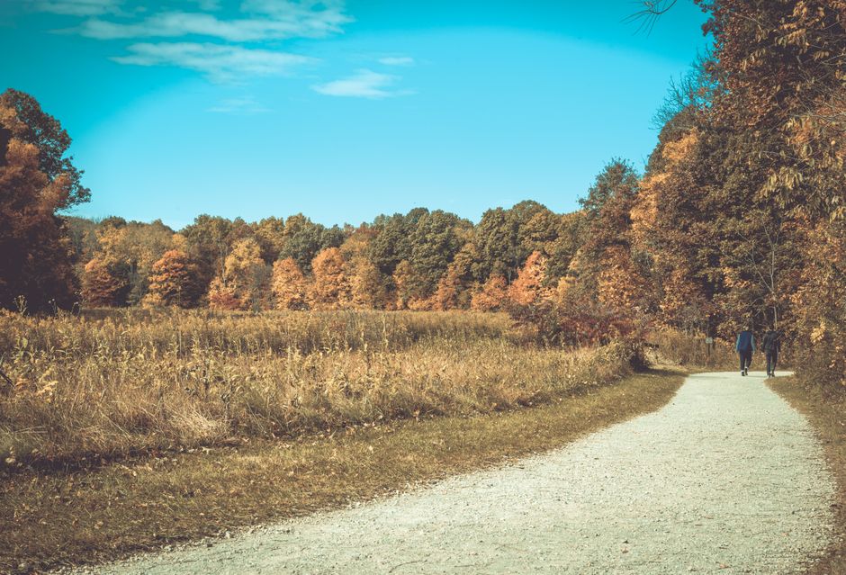The Ordinary Virtues Of Walking: Sorting Fact From Fiction