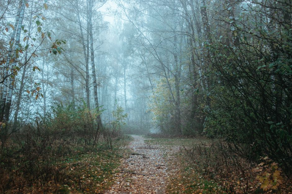 The Social Side Of Well-Being: A Simple, Practical Guide