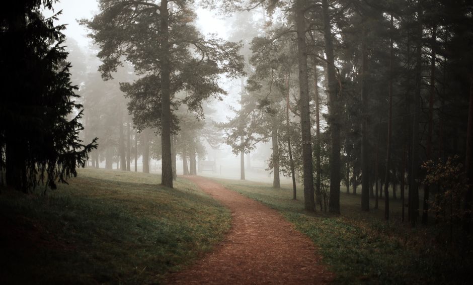 The Truth About Mental Health Is Health