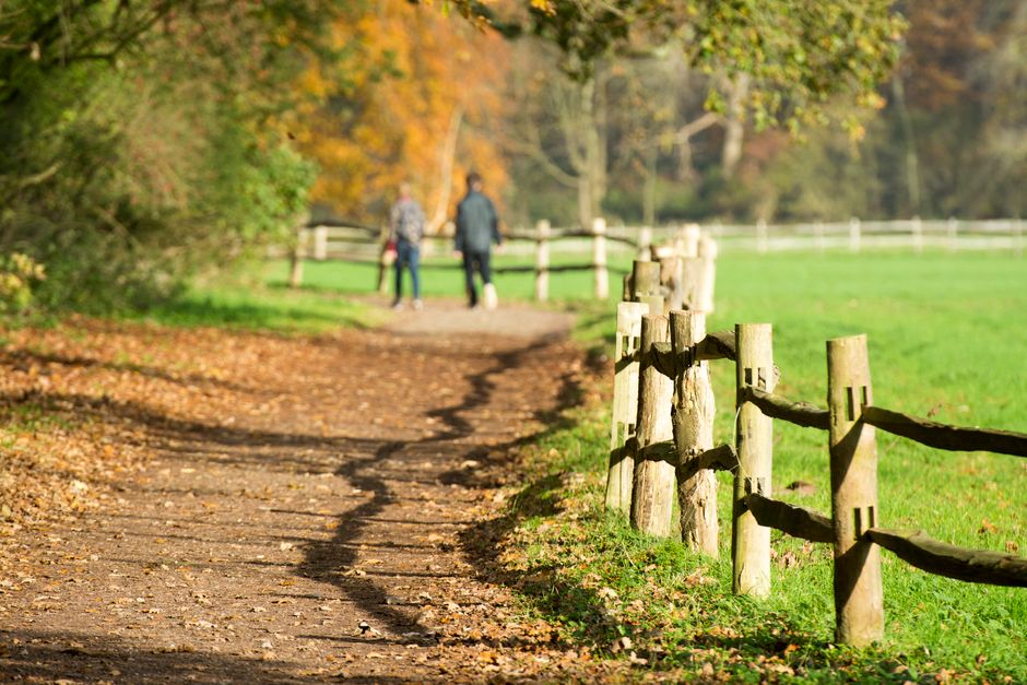 Understanding A Balanced Approach To Wellness in Plain Terms
