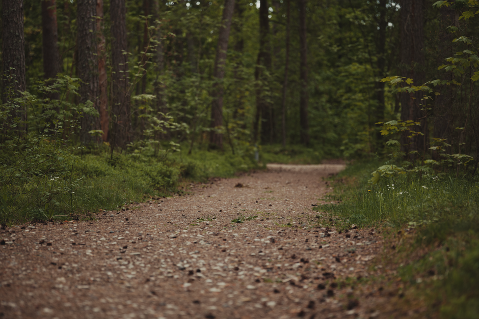 Understanding Health And Wellness: A Simple, Practical Guide