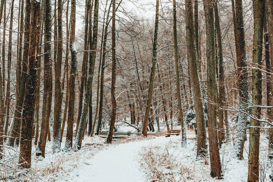 Understanding Health And Wellness When You're Short on Time