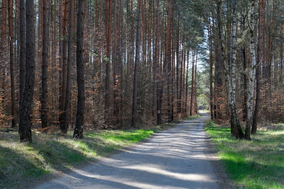 Understanding Motivation, Discipline And Self-Compassion in Plain Terms