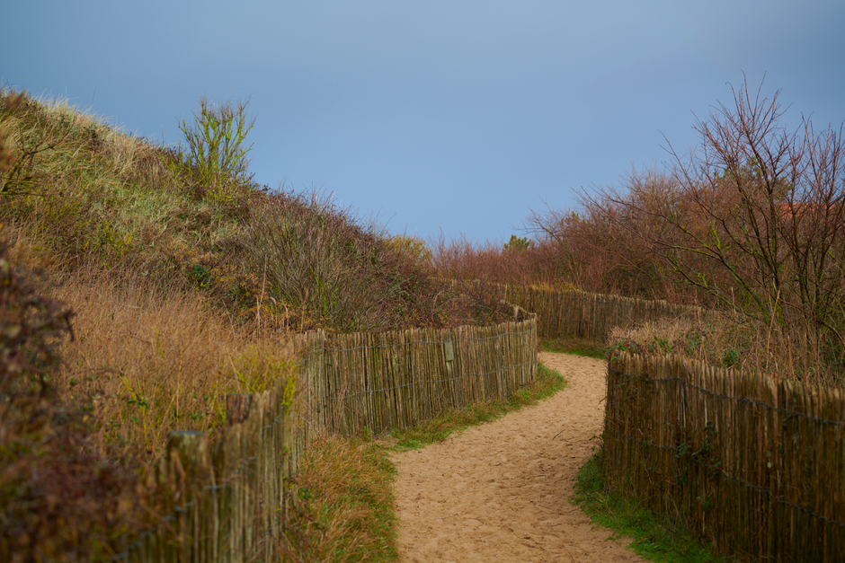 Understanding The Habit Of Moving Through The Day in Plain Terms