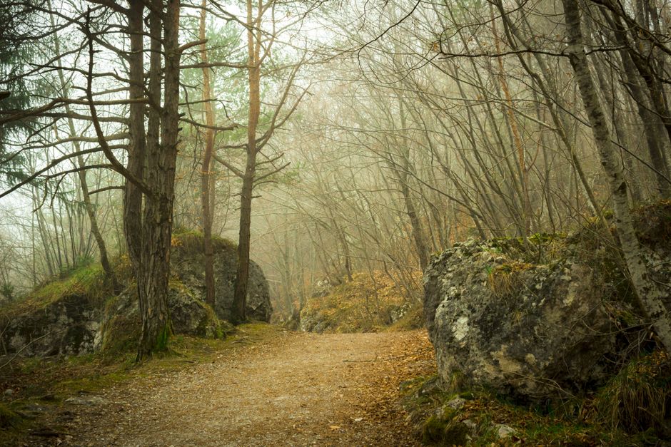 Understanding The Social Side Of Well-Being in Plain Terms — Part 2