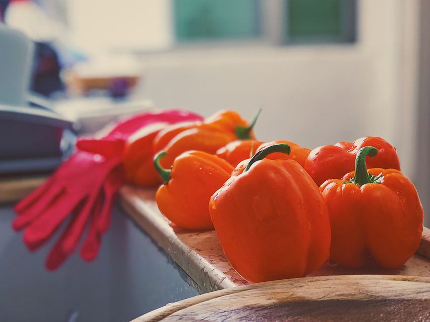 Where People Go Wrong With Living A Healthy Lifestyle