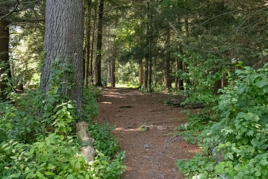Where People Go Wrong With Starting Again After A Setback