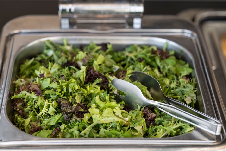 Where to Begin With Probiotics In Plain Language, in Plain Language